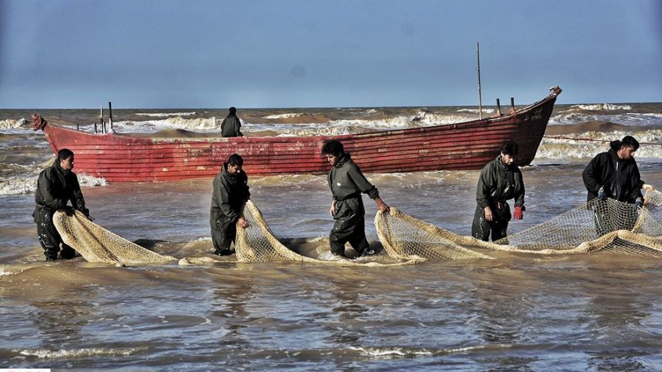صید ماهیان استخوانی در دریای خزر