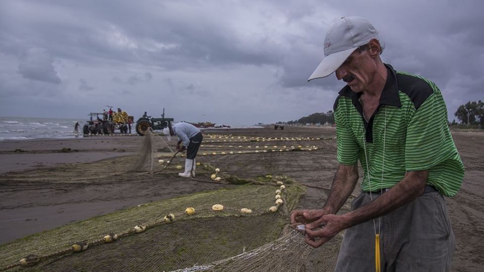 صید ماهیان استخوانی در دریای خزر