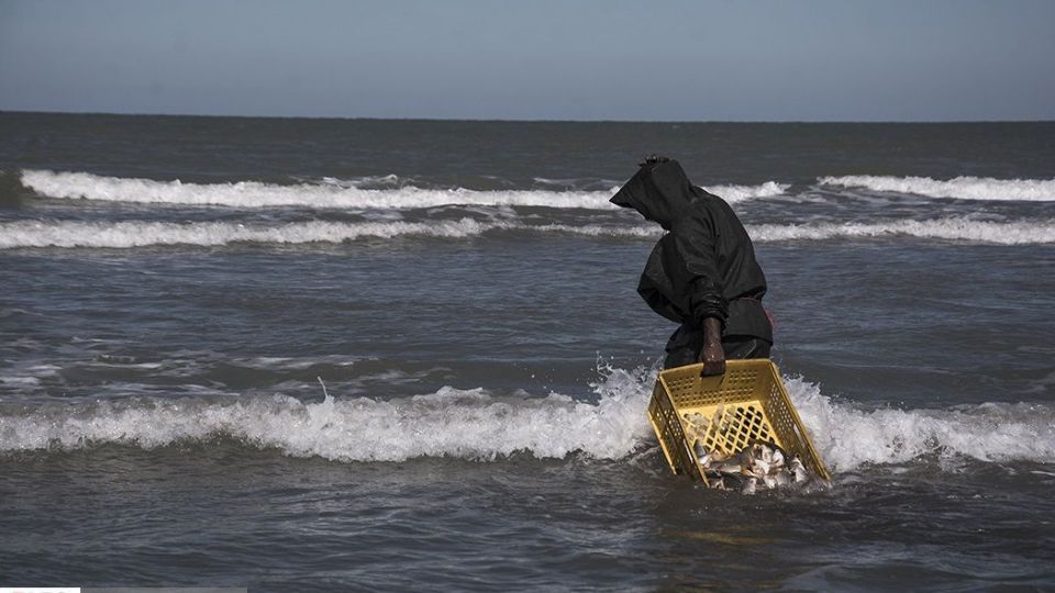 صید ماهیان استخوانی در دریای خزر