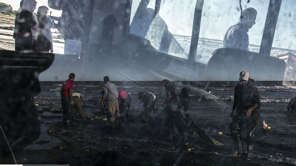 صید ماهیان استخوانی در دریای خزر