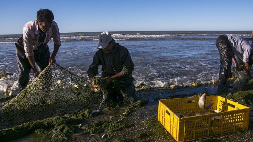 صید ماهیان استخوانی در دریای خزر