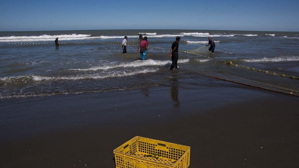 صید ماهیان استخوانی در دریای خزر