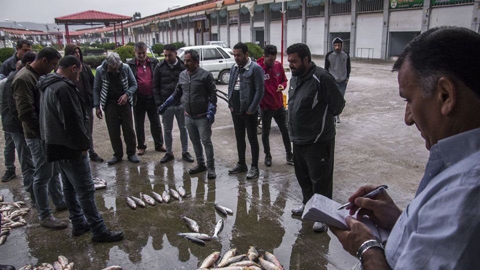 صید ماهیان استخوانی در دریای خزر