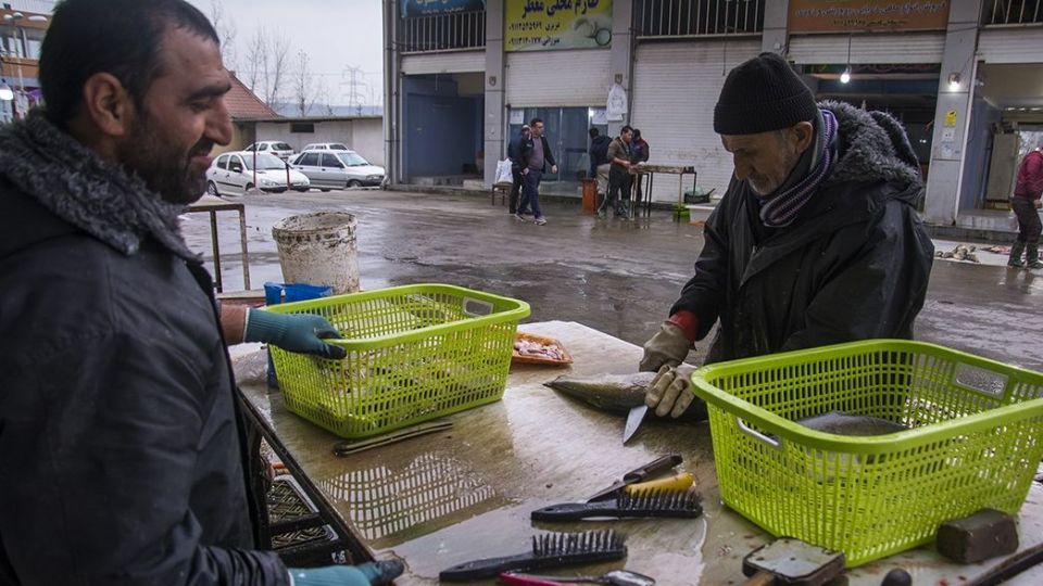 صید ماهیان استخوانی در دریای خزر