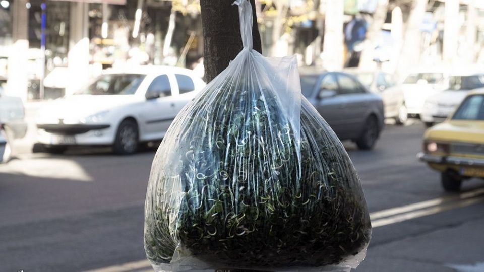 با درختان مهربان باشیم