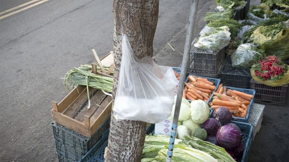 با درختان مهربان باشیم