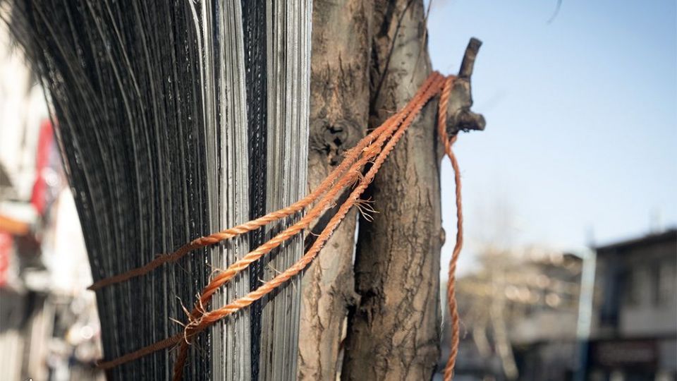 با درختان مهربان باشیم