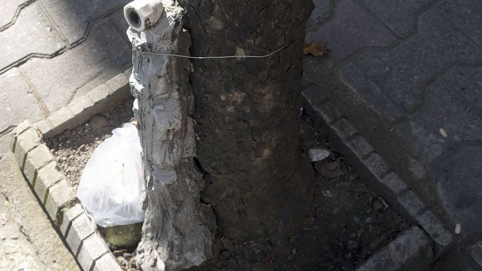 با درختان مهربان باشیم