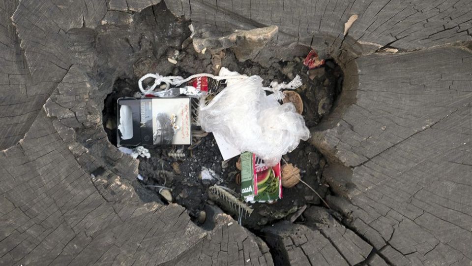 با درختان مهربان باشیم