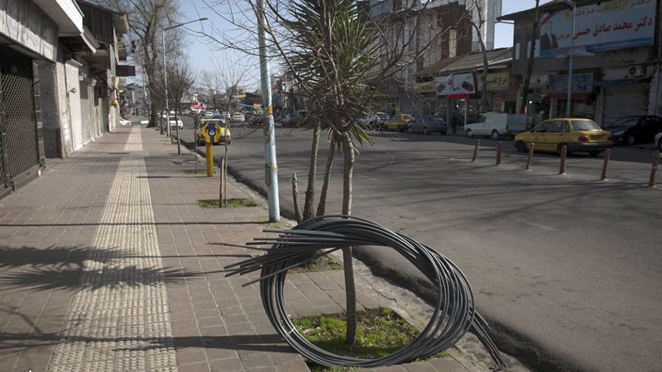 با درختان مهربان باشیم