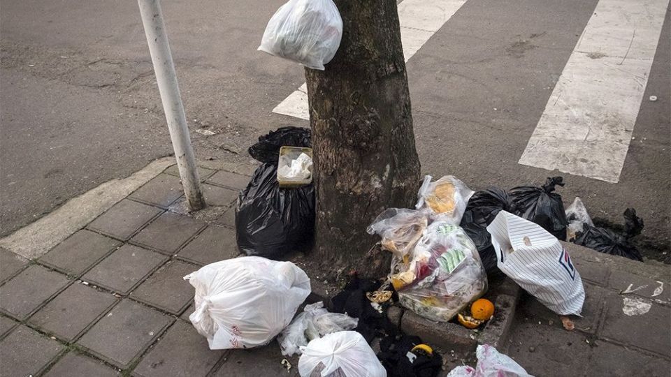 با درختان مهربان باشیم