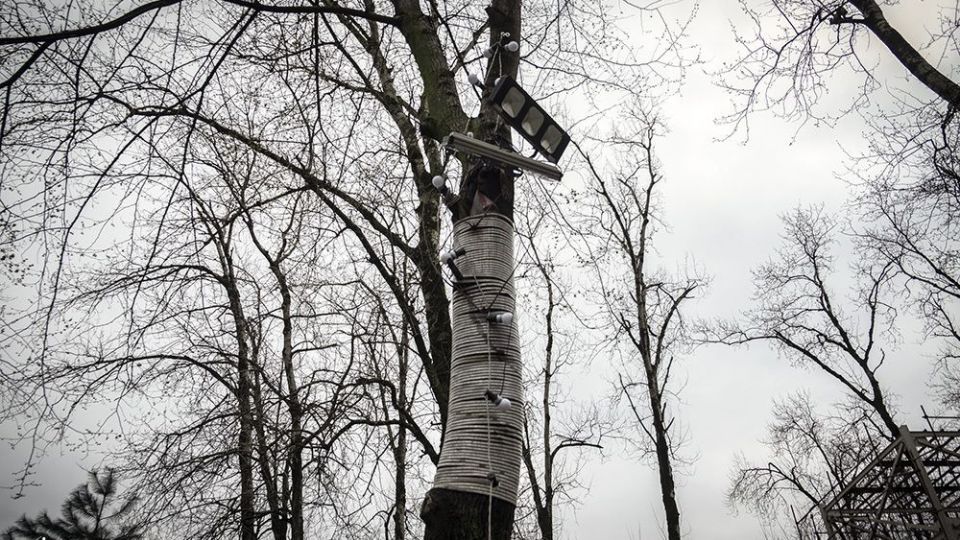 با درختان مهربان باشیم