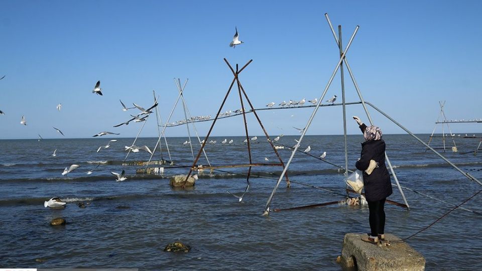 آبْكاكایی ها