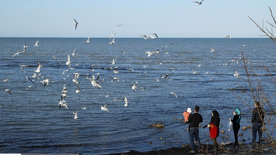 آبْكاكایی ها