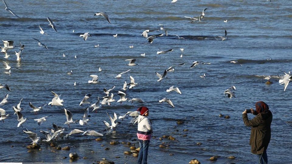 آبْكاكایی ها