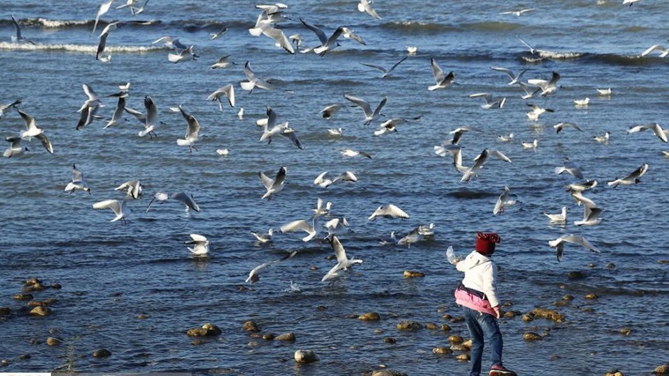 آبْكاكایی ها