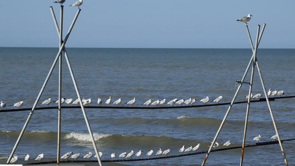 آبْكاكایی ها