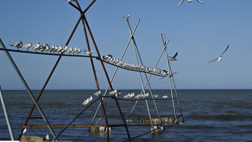 آبْكاكایی ها