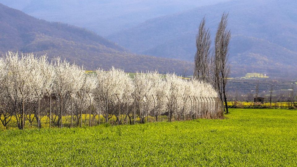 طبیعت زیبای بهاری در گلستان