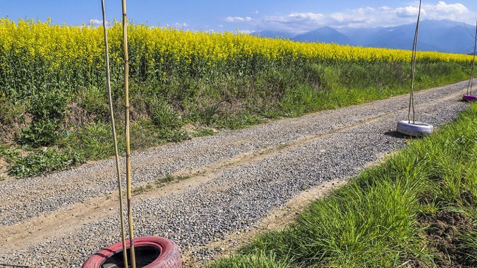 طبیعت زیبای بهاری در گلستان