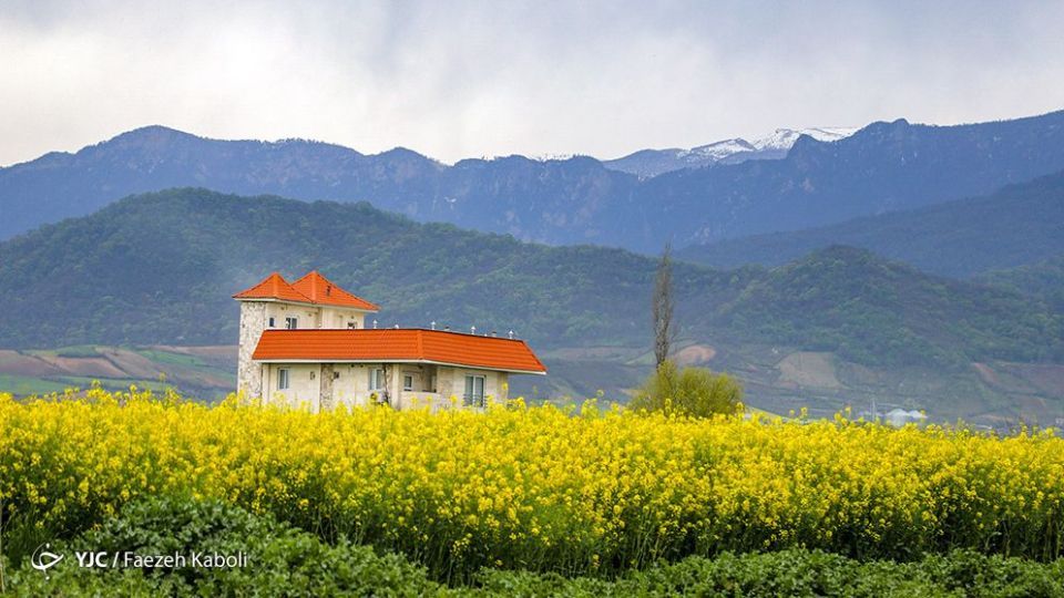 طبیعت زیبای بهاری در گلستان