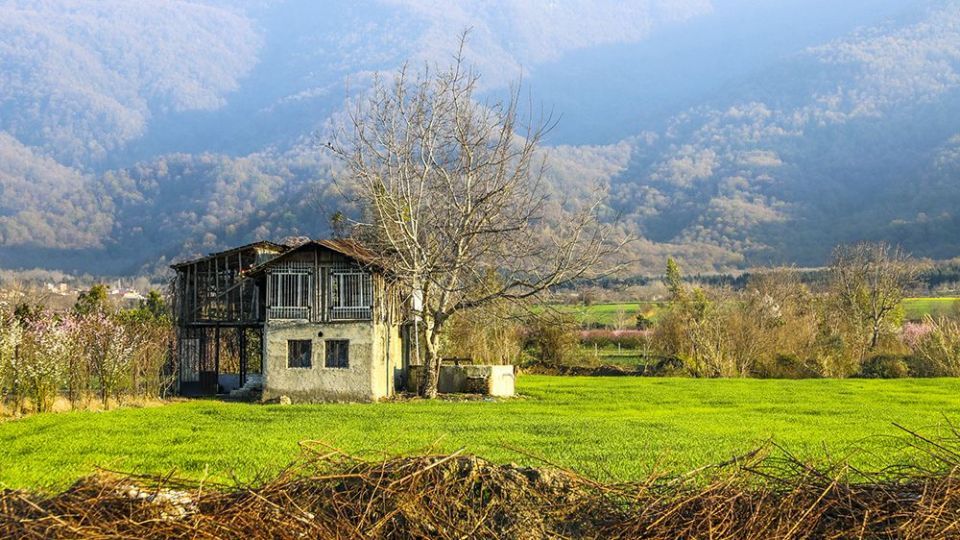 طبیعت زیبای بهاری در گلستان