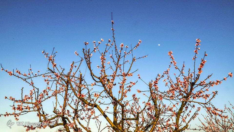 طبیعت زیبای بهاری در گلستان