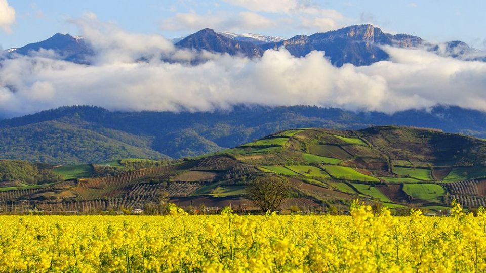 طبیعت زیبای بهاری در گلستان