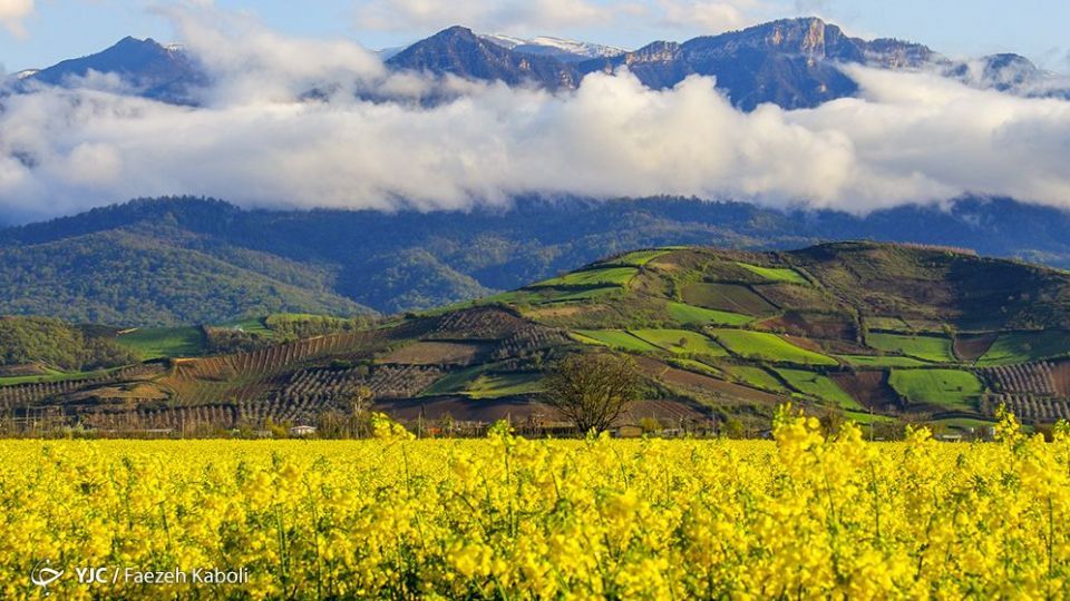  طبیعت زیبای بهاری در گلستان 