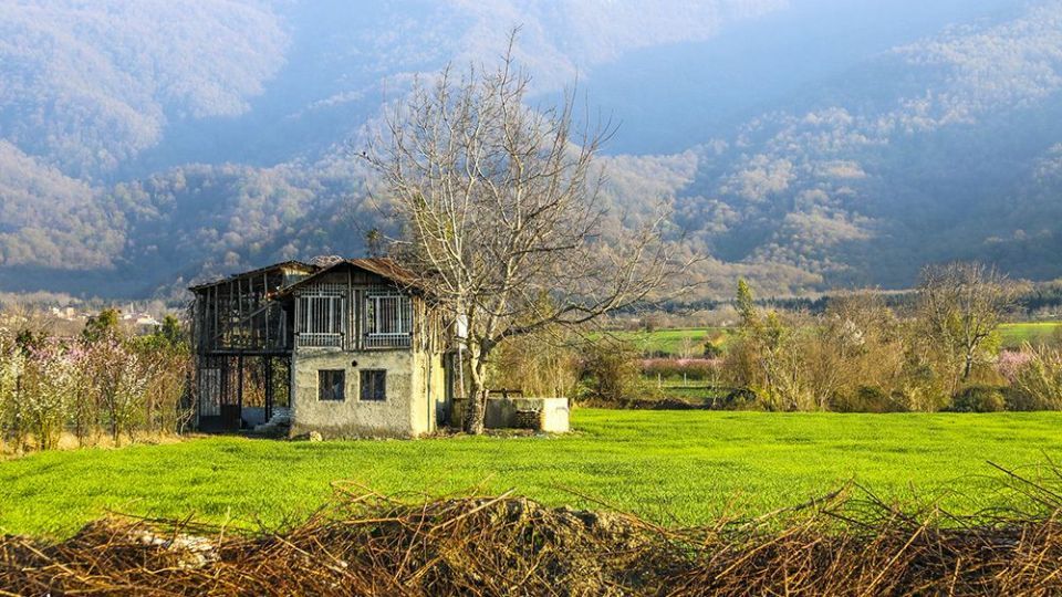  طبیعت زیبای بهاری در گلستان 