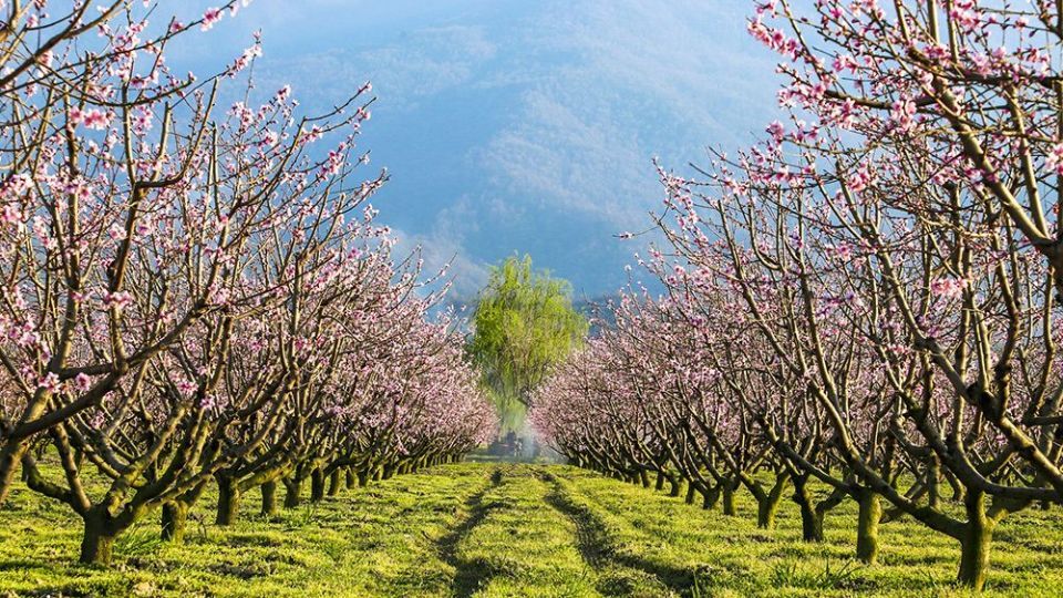 طبیعت زیبای بهاری در گلستان 