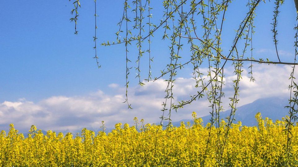  طبیعت زیبای بهاری در گلستان 