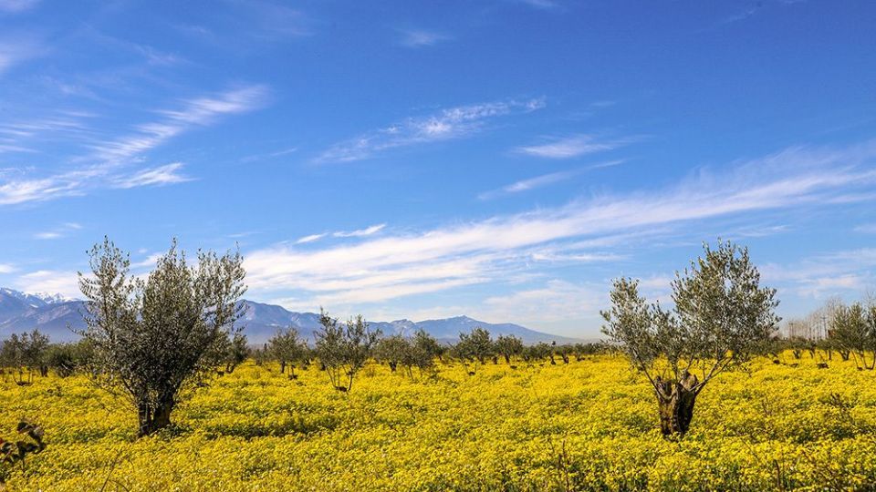  طبیعت زیبای بهاری در گلستان 