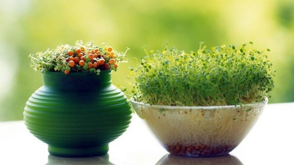 چطور میشود به خانهنشینی در نوروز، مثبت نگاه کرد؟ چطور میشود به خانهنشینی در نوروز، مثبت نگاه کرد؟