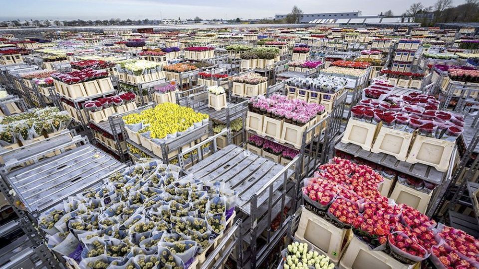 زندگی در دوره کرونا