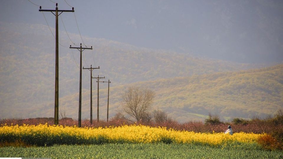 بهار در «گلستان»