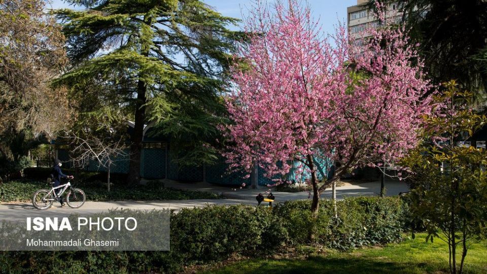 حال و هوای عید ۹۹ در تهران