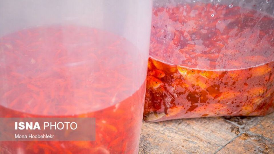 حال و هوای عید ۹۹ در تهران