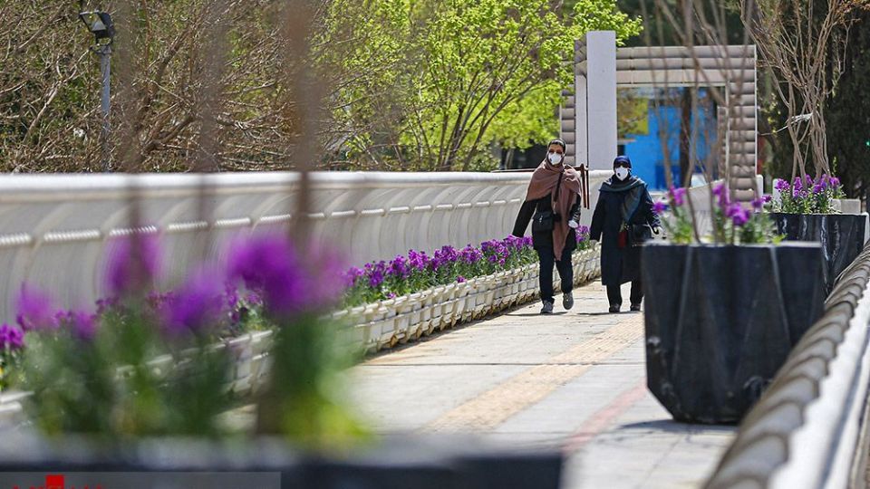 زیبایی بهار