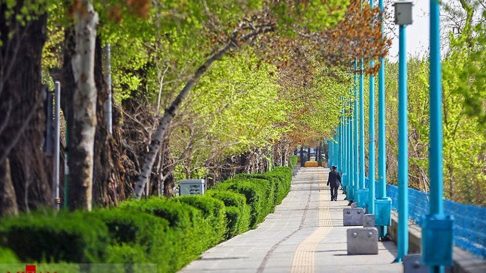 زیبایی بهار