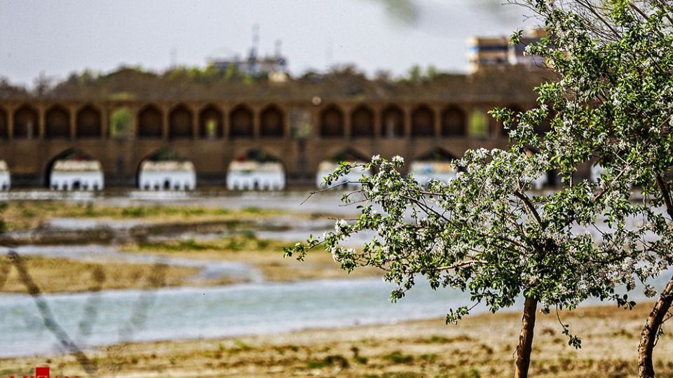 زیبایی بهار