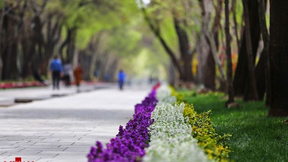 زیبایی بهار