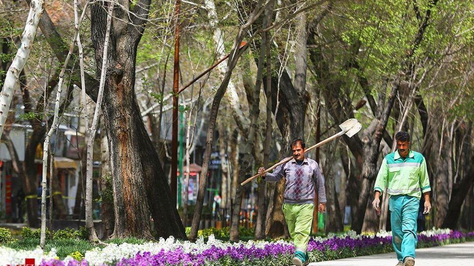 زیبایی بهار
