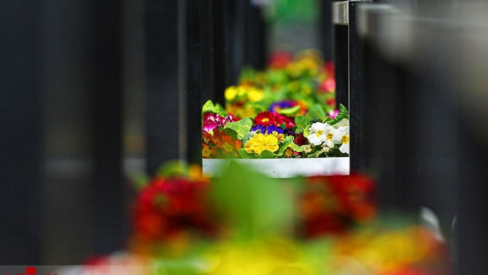 زیبایی بهار