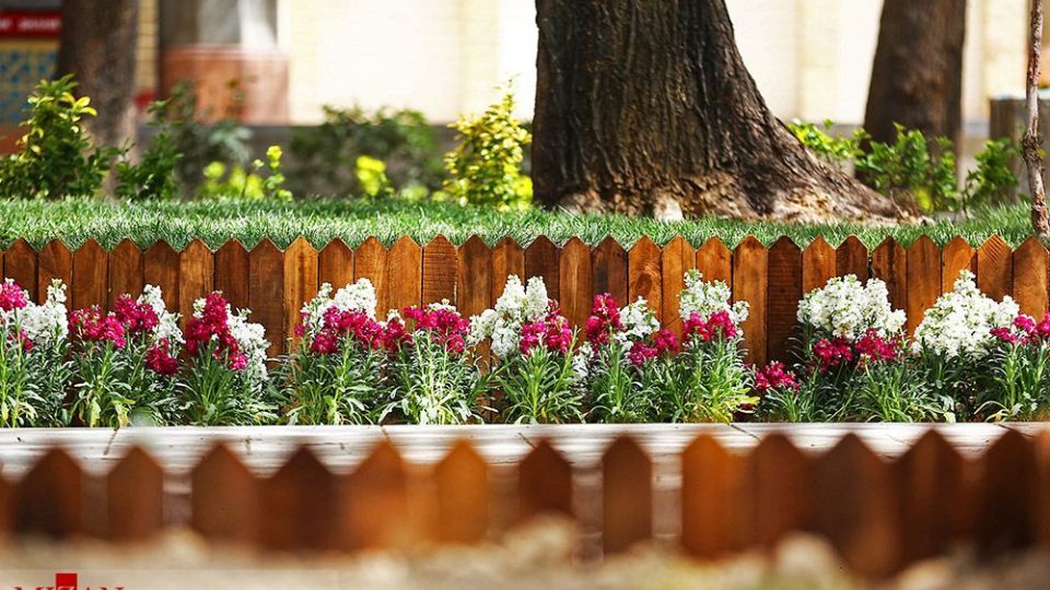 زیبایی بهار