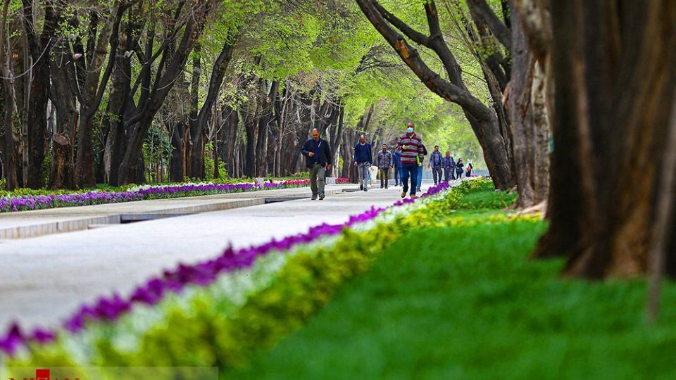 زیبایی بهار