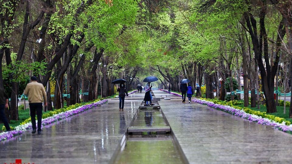 زیبایی بهار