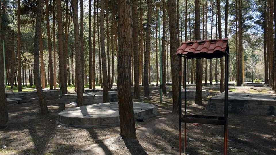  طبیعتی پاک در روز طبیعت 