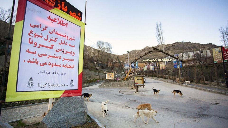  طبیعتی پاک در روز طبیعت 