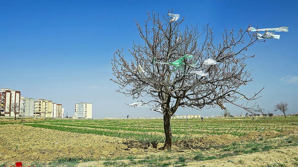 انسان و طبیعت